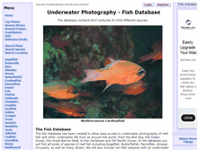 Tablet Screenshot of fishdb.co.uk